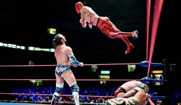 Lucha Libre